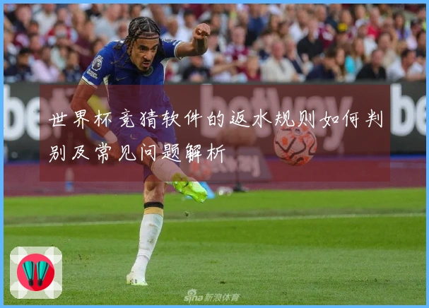世界杯竞猜软件的返水规则如何判别及常见问题解析