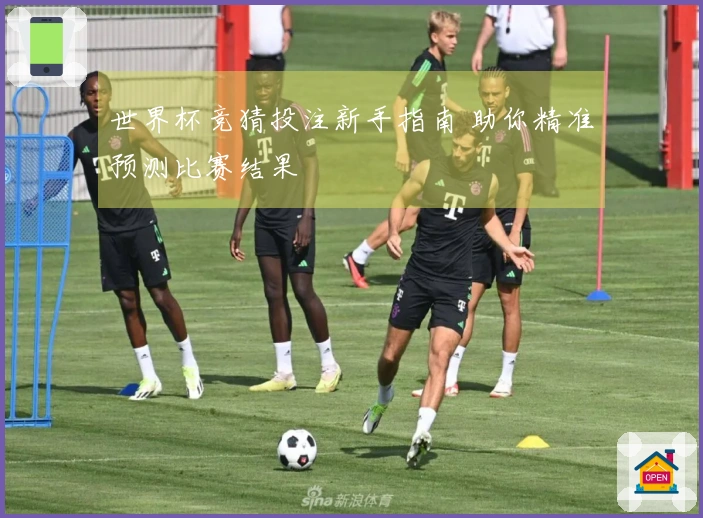世界杯竞猜投注新手指南 助你精准预测比赛结果