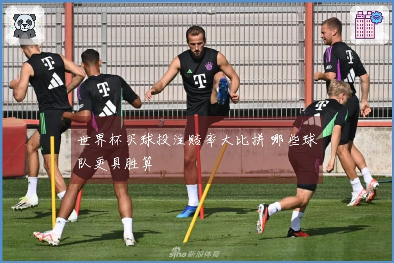 世界杯买球投注赔率大比拼 哪些球队更具胜算