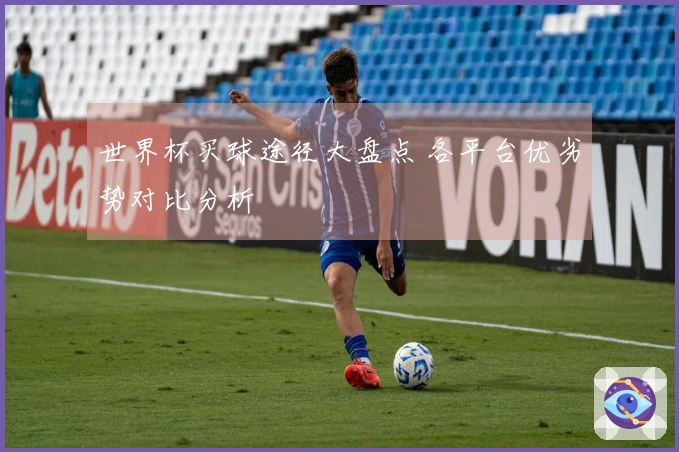 世界杯买球途径大盘点 各平台优劣势对比分析