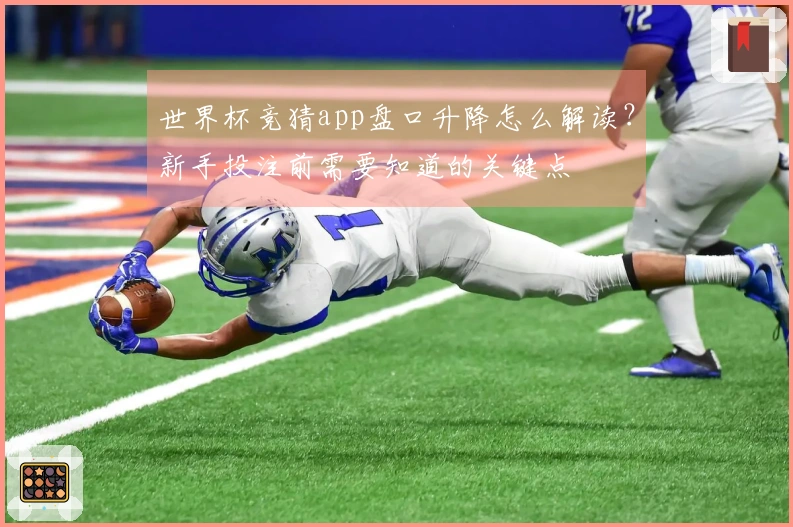世界杯竞猜app盘口升降怎么解读？新手投注前需要知道的关键点