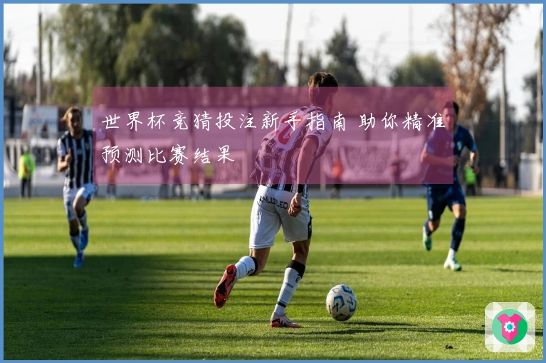 世界杯竞猜投注新手指南 助你精准预测比赛结果