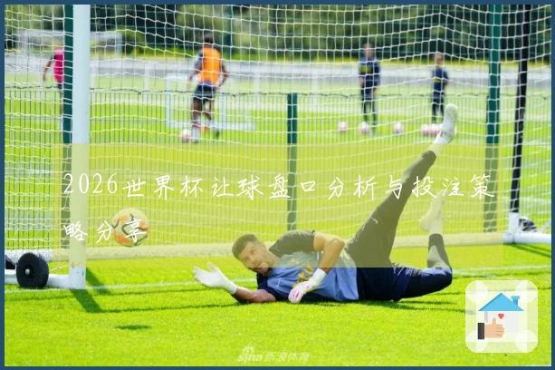 2026世界杯让球盘口分析与投注策略分享