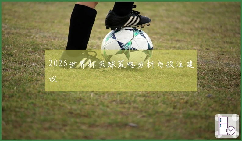 2026世界杯买球策略分析与投注建议