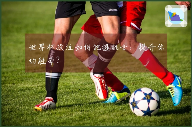 世界杯投注如何把握机会，提升你的胜率？
