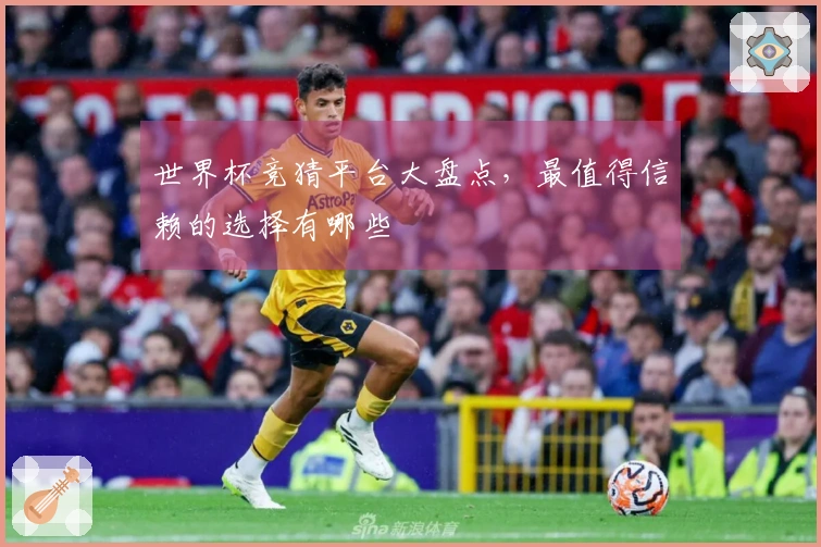 世界杯竞猜平台大盘点，最值得信赖的选择有哪些